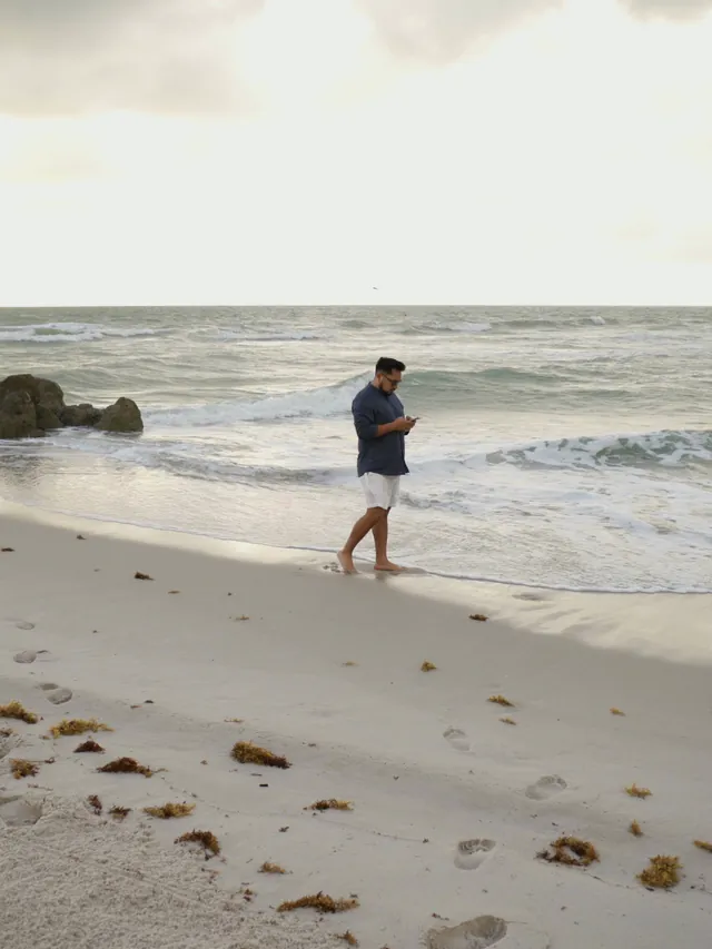 Macuto camina por la orilla de Miami Beach